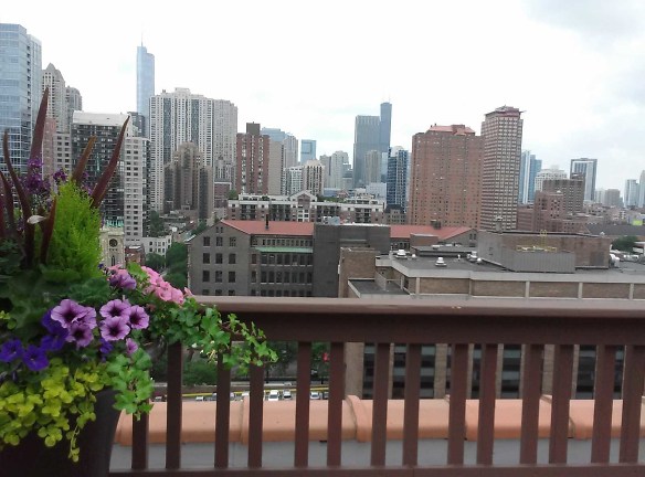 Dearborn Plaza Apartments - Chicago, IL
