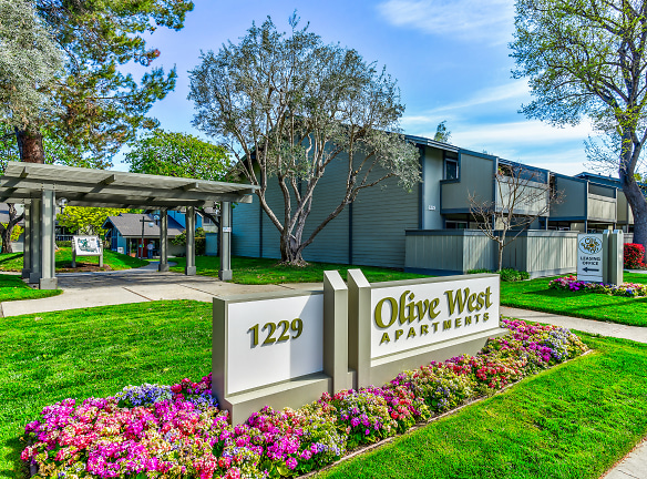 Olive West - Sunnyvale, CA