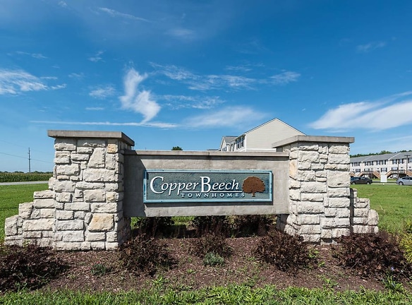 Copper Beech Bowling Green State-Per Bed Lease - Bowling Green, OH