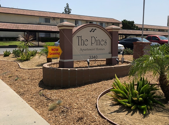 The Pines Apartment Homes - Fullerton, CA