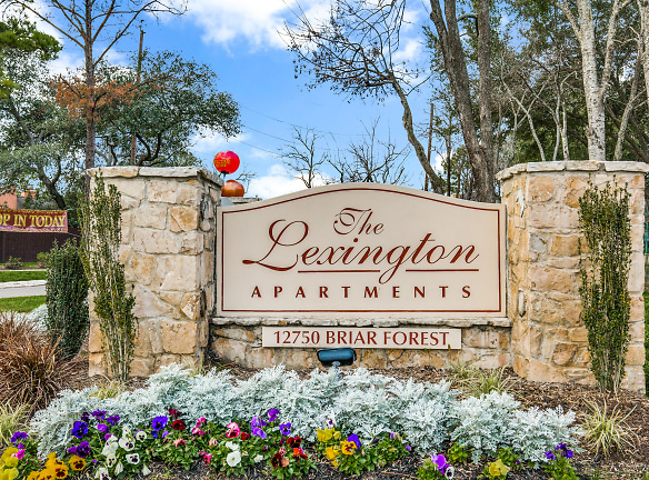 The Lexington Apartments - Houston, TX