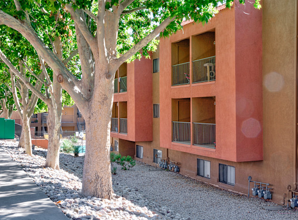 The Standard East Apartments For Rent - Albuquerque, NM | Rentals.com