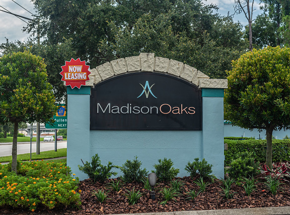 Madison Oaks Apartments - Palm Harbor, FL