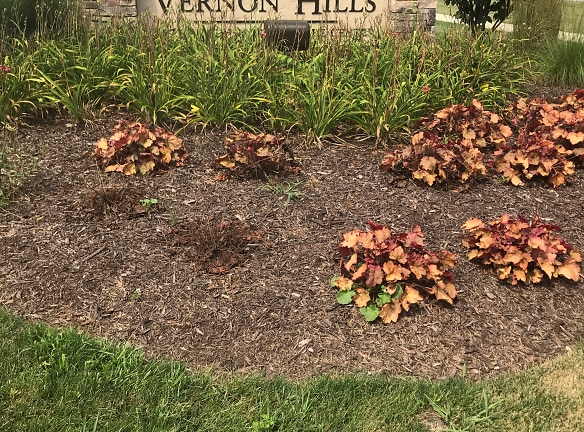 The Springs Of Vernon Hills Apartments - Vernon Hills, IL