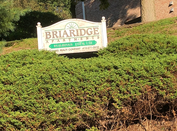 Briaridge Apartments - Turtle Creek, PA